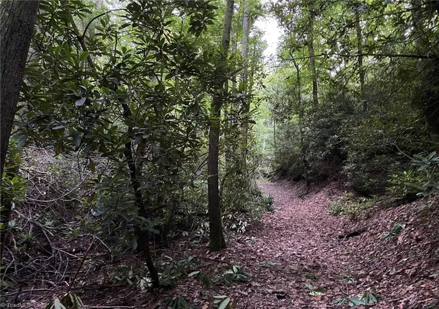 18th image of Tbd Scout Rd, Lenoir, NC 28645 | MLS# 1202779