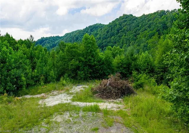 Photo 3 of Land for sale at Tbd 7 Big Laurel Rd, Creston, NC 28615 | MLS# 1230291 | Listing updated on 2026-08-21