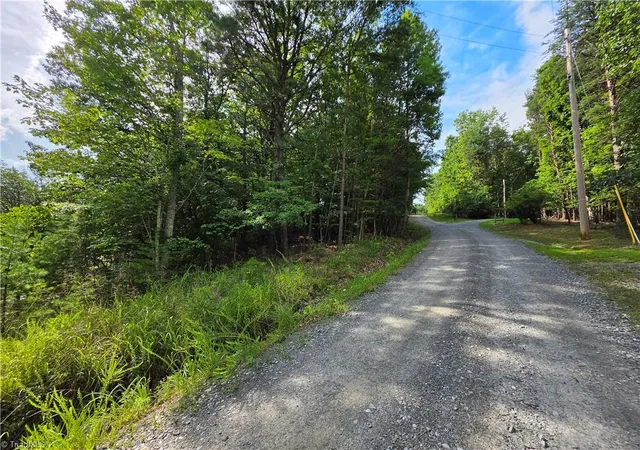 35th image of 179 Caseys Crossing Trl, Lowgap, NC 27024 | MLS# 1230716