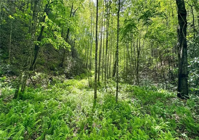 4th image of 000 N Old Nc Hwy 16, Millers Creek, NC 28651 | MLS# 1218825
