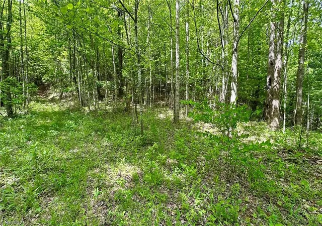 5th image of 000 N Old Nc Hwy 16, Millers Creek, NC 28651 | MLS# 1218825