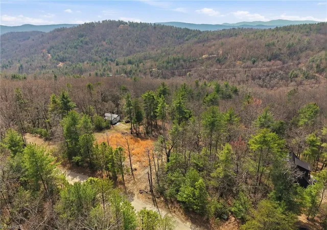Homes for sale in Purlear, NC | Lot 109 & 110 Pepper Bush Rd, Purlear, NC 28665 | MLS# 1213863