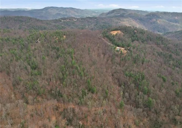 Homes for sale in Purlear, NC | Lot 109 & 110 Pepper Bush Rd, Purlear, NC 28665 | MLS# 1213863