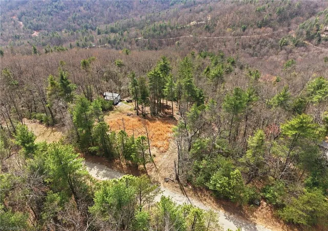 Homes for sale in Purlear, NC | Lot 109 & 110 Pepper Bush Rd, Purlear, NC 28665 | MLS# 1213863