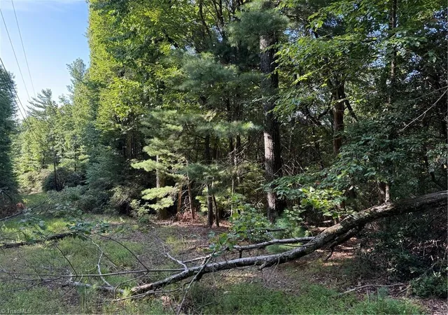Photo 1 of Land for sale at 00 Timber Ridge Rd, Millers Creek, NC 28651 | MLS# 1228988 | Listing updated on 2026-07-24