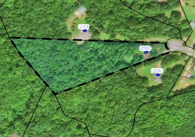 17th image of 230 Lick Fork Ln, Reidsville, NC 27320 | MLS# 1224120