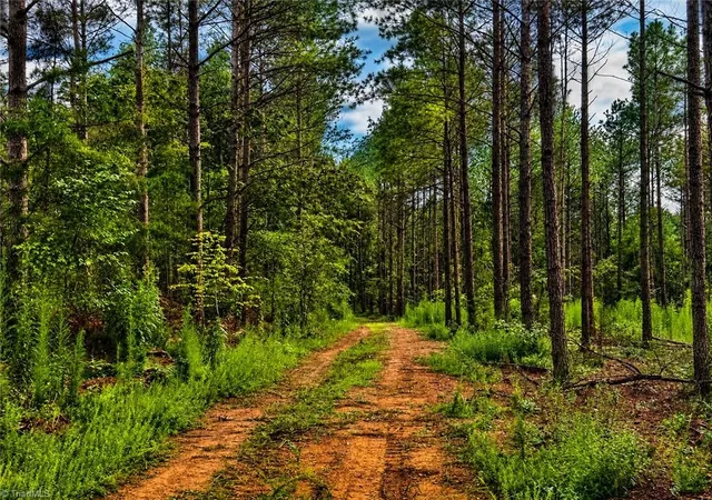 Photo 3 of Land for sale at 0 Jennings Rd, Randleman, NC 27317 | MLS# 1233310 | Listing updated on 2026-08-28