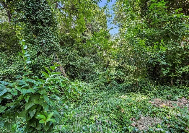 36th image of 1037 West End Blvd, Winston Salem, NC 27101 | MLS# 1230529