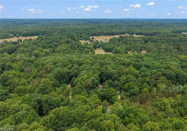 46th image of 3311 Alex Dr, Hillsborough, NC 27278 | MLS# 1224096