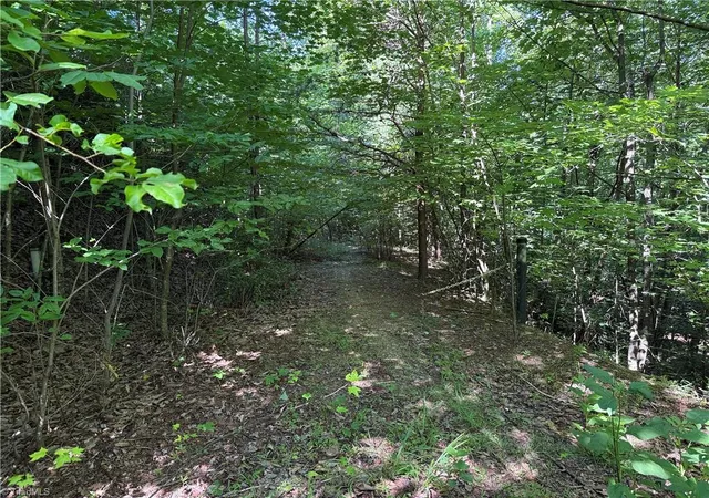Photo 2 of Land for sale at Lot 222 Casey Mountain Rd, Purlear, NC 28665 | MLS# 1229884 | Listing updated on 2026-08-03