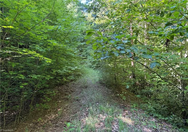 Photo 4 of Land for sale at Lot 222 Casey Mountain Rd, Purlear, NC 28665 | MLS# 1229884 | Listing updated on 2026-08-03