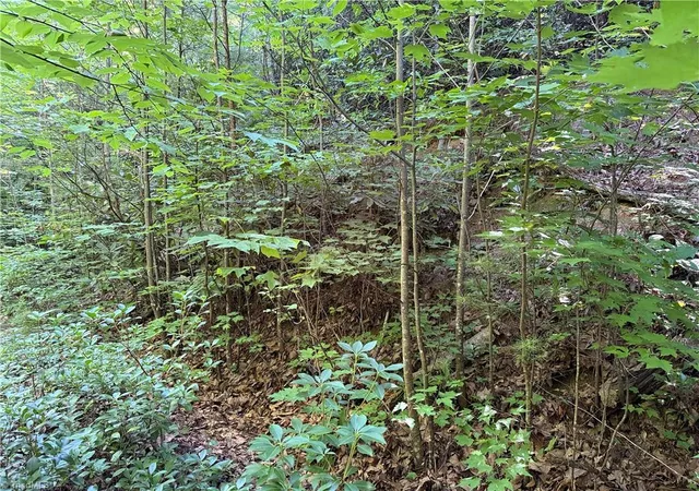 Photo 5 of Land for sale at Lot 222 Casey Mountain Rd, Purlear, NC 28665 | MLS# 1229884 | Listing updated on 2026-08-03