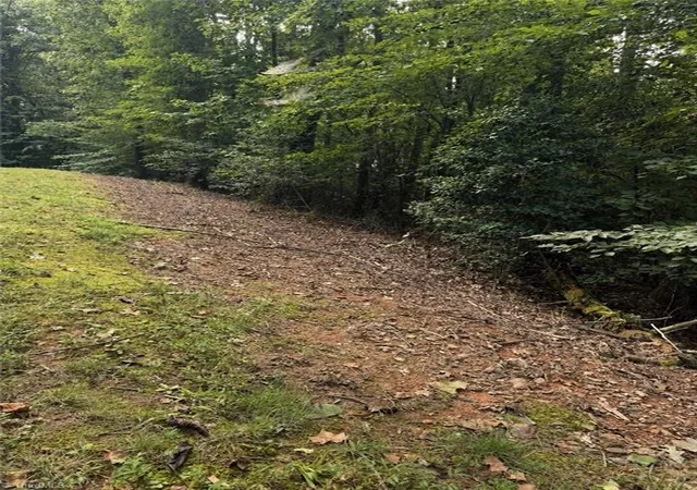 Photo 3 of Land for sale at Poplar Dr, North Wilkesboro, NC 28659 | MLS# 1230539 | Listing updated on 2026-08-14
