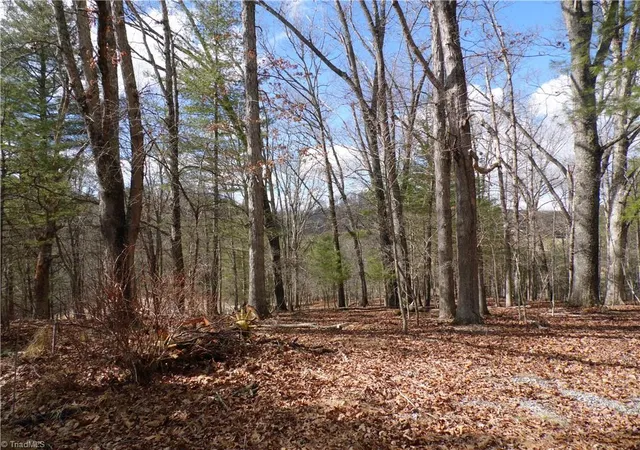 Photo 2 of Land for sale at Tbd Happy Woods Rd, Grassy Creek, NC 28631 | MLS# 1135189 | Listing updated on 2026-08-03