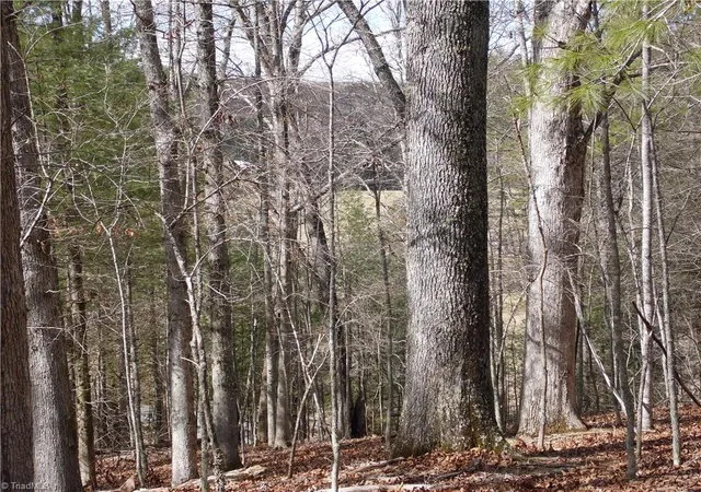 Photo 3 of Land for sale at Tbd Happy Woods Rd, Grassy Creek, NC 28631 | MLS# 1135189 | Listing updated on 2026-08-03
