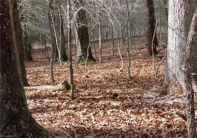 Photo 5 of Land for sale at Tbd Happy Woods Rd, Grassy Creek, NC 28631 | MLS# 1135189 | Listing updated on 2026-08-03