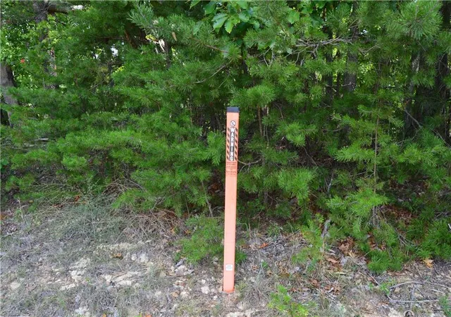 Photo 4 of Sale Pending at 2122 Cherokee Camp Rd, Reidsville, NC 27320 | MLS# 1233633 | Listing updated on 2026-08-28