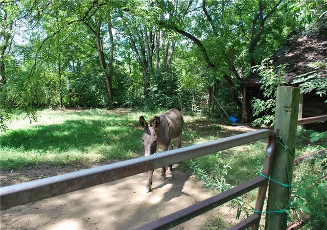 Photo 4 of Single family home for sale at 1891 Farmington Rd, Mocksville, NC 27028 | MLS# 1234096 | Listing updated on 2026-08-31