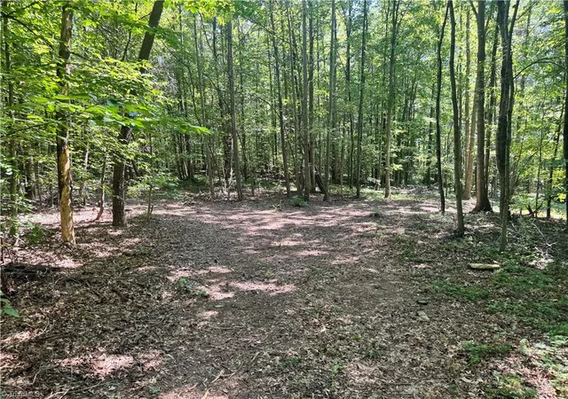 Photo 18 of Sale Pending at 00 Rocky Face Church Rd, Taylorsville, NC 28681 | MLS# 1233445 | Listing updated on 2026-09-03