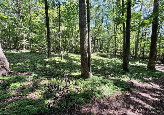 Photo 4 of Sale Pending at 00 Rocky Face Church Rd, Taylorsville, NC 28681 | MLS# 1233445 | Listing updated on 2026-09-03