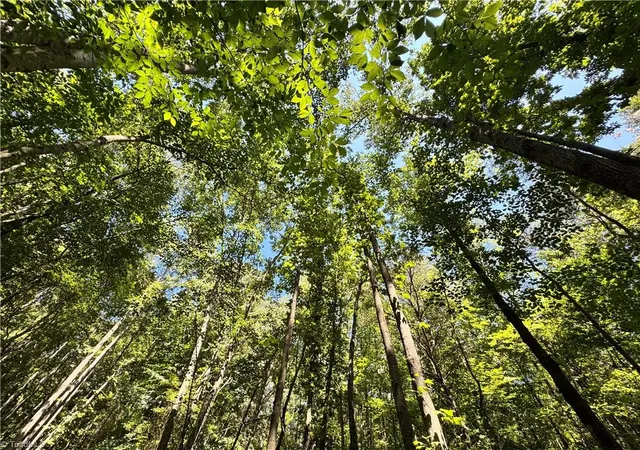 Photo 5 of Sale Pending at 00 Rocky Face Church Rd, Taylorsville, NC 28681 | MLS# 1233445 | Listing updated on 2026-09-03