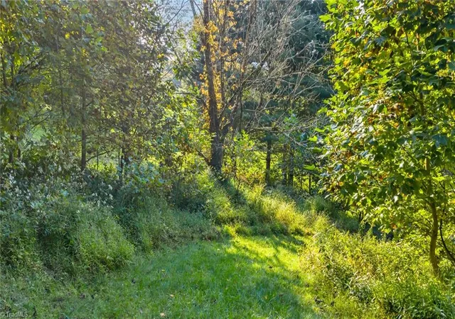 Photo 5 of Land for sale at Tbd Mulatto Mountain Rd, West Jefferson, NC 28694 | MLS# 1215769 | Listing updated on 2026-04-26