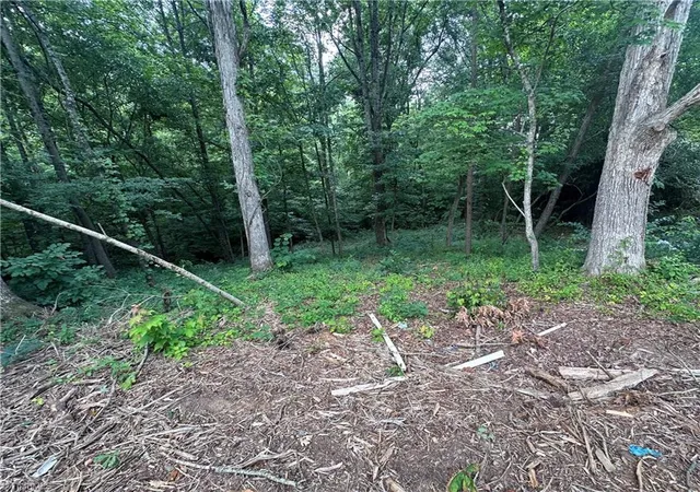 Land for sale at 4430 Ben Ln, Walkertown, NC 27051 | MLS# 1228475