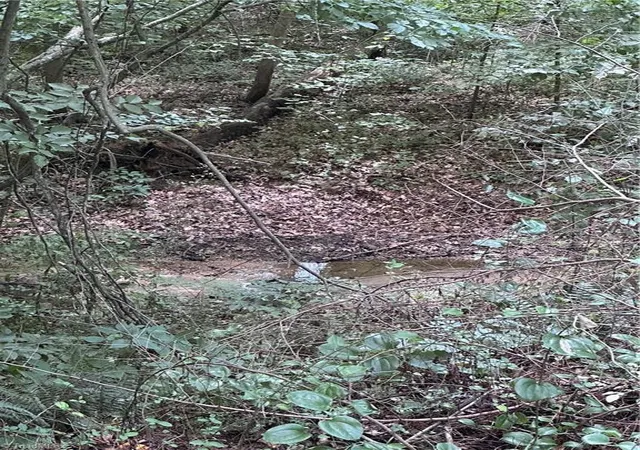 Photo 2 of Land for sale at 4430 Ben Ln, Walkertown, NC 27051 | MLS# 1228475 | Listing updated on 2026-07-21