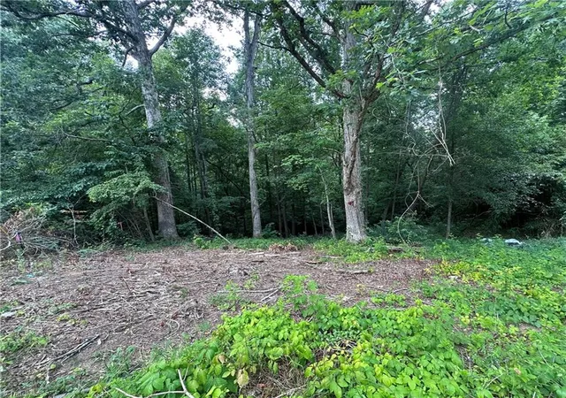 Photo 3 of Land for sale at 4430 Ben Ln, Walkertown, NC 27051 | MLS# 1228475 | Listing updated on 2026-07-21