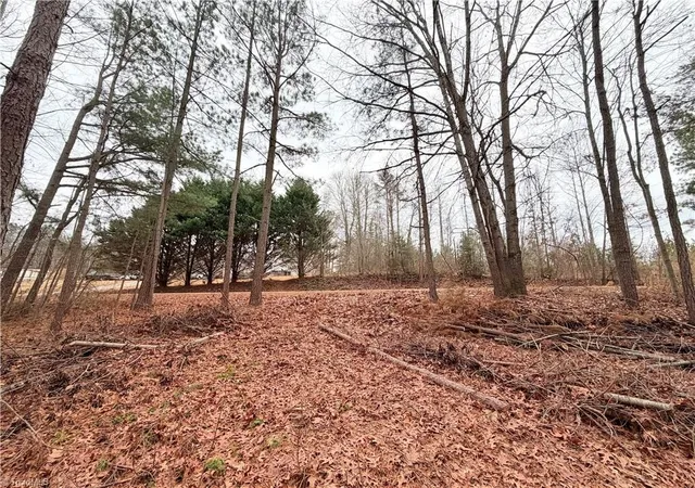Photo 3 of Land for sale at 000 Shumate Mountain Rd, Hays, NC 28635 | MLS# 1231632 | Listing updated on 2026-08-18