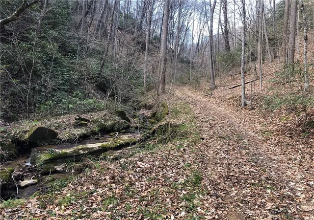Photo 3 of Land for sale at (Undisclosed), Lenoir, NC 28645 | MLS# 1136618 | Listing updated on 2026-01-13