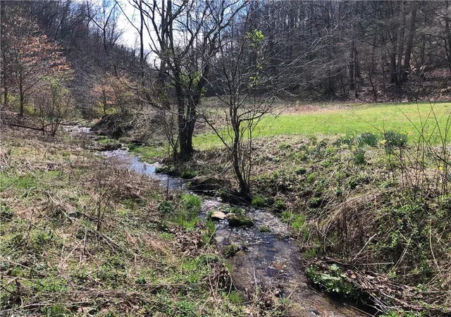Photo 3 of Land for sale at (Undisclosed), Lenoir, NC 28645 | MLS# 1136618 | Listing updated on 2026-01-13