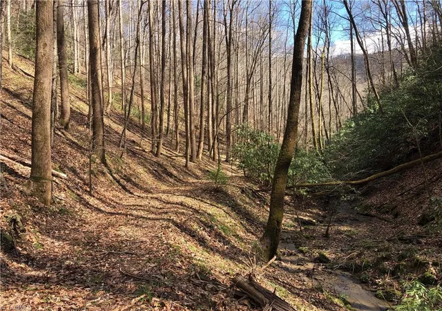 Photo 4 of Land for sale at (Undisclosed), Lenoir, NC 28645 | MLS# 1136618 | Listing updated on 2026-01-13