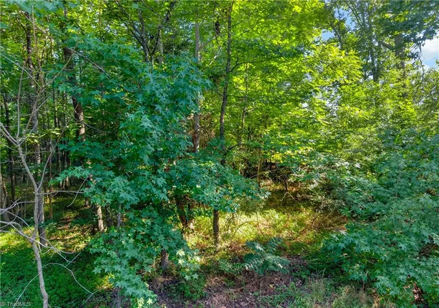 Photo 4 of Sale Pending at 5005 W Wendover Ave, Jamestown, NC 27282 | MLS# 1228322 | Listing updated on 2026-09-14