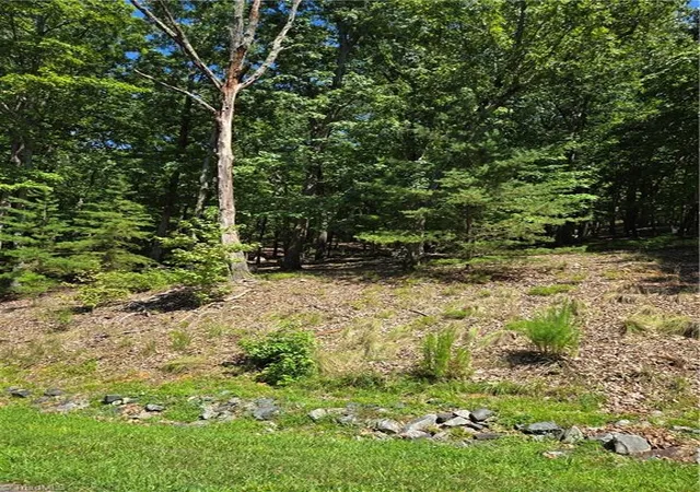 3rd image of 377 Pinnacle Trl, Denton, NC 27239 | MLS# 1229576