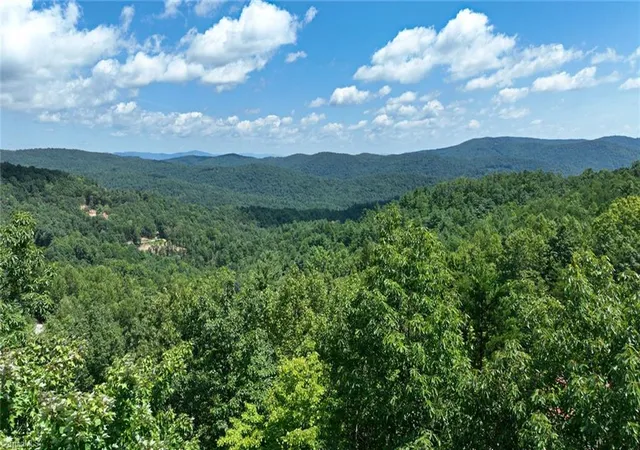 Photo 22 of Single family home for sale at 1050 Staghorn Rd, Purlear, NC 28665 | MLS# 1231808 | Listing updated on 2026-08-24