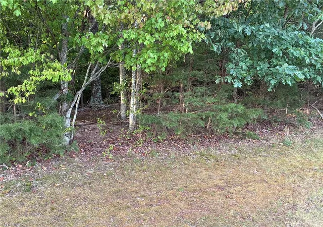 4th image of 00 Bethany Rd, Reidsville, NC 27320 | MLS# 1230367