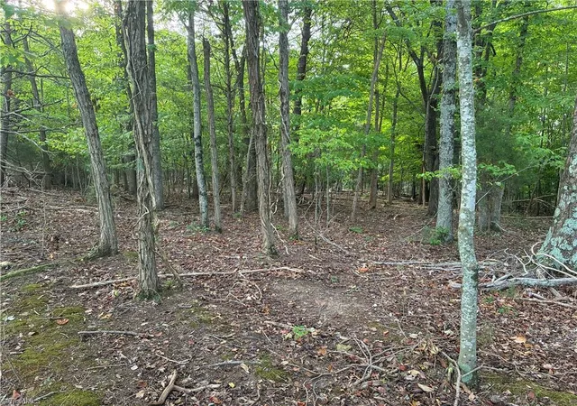 5th image of 00 Bethany Rd, Reidsville, NC 27320 | MLS# 1230367