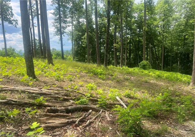 Homes for sale in Hays, NC | Tbd Wilderness Rd, Hays, NC 28635 | MLS# 1222938