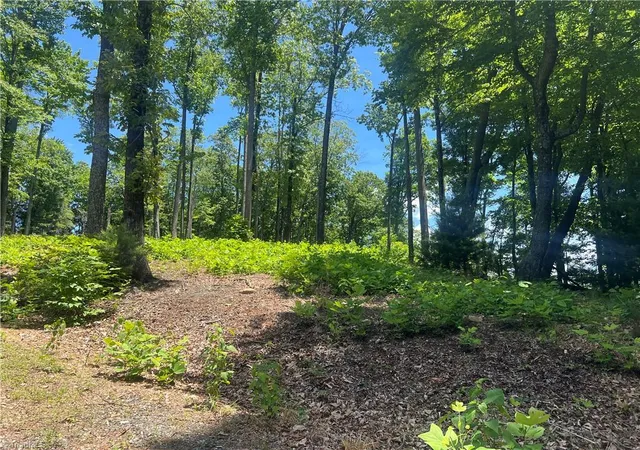 Homes for sale in Hays, NC | Tbd Wilderness Rd, Hays, NC 28635 | MLS# 1222938