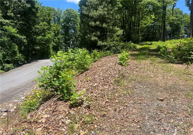 Homes for sale in Hays, NC | Tbd Wilderness Rd, Hays, NC 28635 | MLS# 1222938
