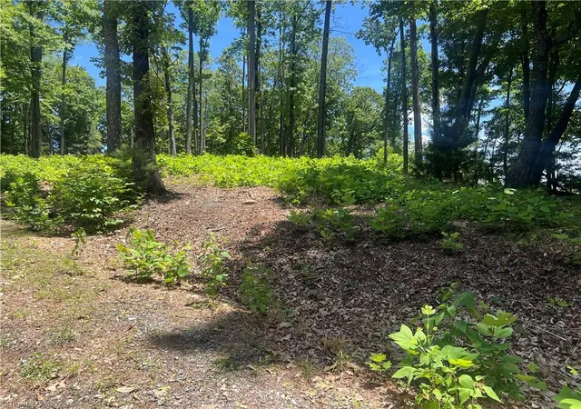 Homes for sale in Hays, NC | Tbd Wilderness Rd, Hays, NC 28635 | MLS# 1222938