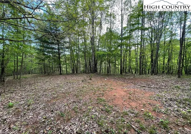 Homes for sale in Jefferson, NC | Tbd Edwin Blevins Rd, Jefferson, NC 28640 | MLS# 1225886