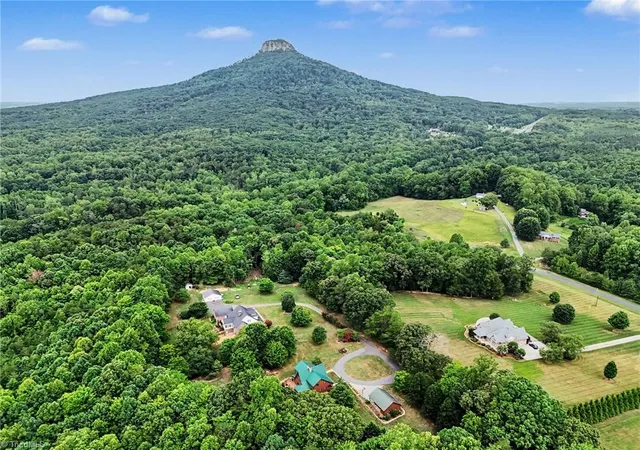 3rd image of 181 Mountaineer Ln, Pinnacle, NC 27043 | MLS# 1227242