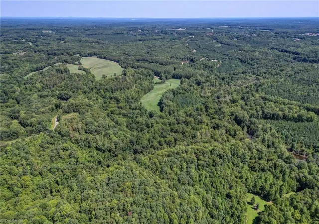 Photo 2 of Sale Pending at 00 Badgett Sisters Pkwy, Yanceyville, NC 27379 | MLS# 1231500 | Listing updated on 2026-08-31