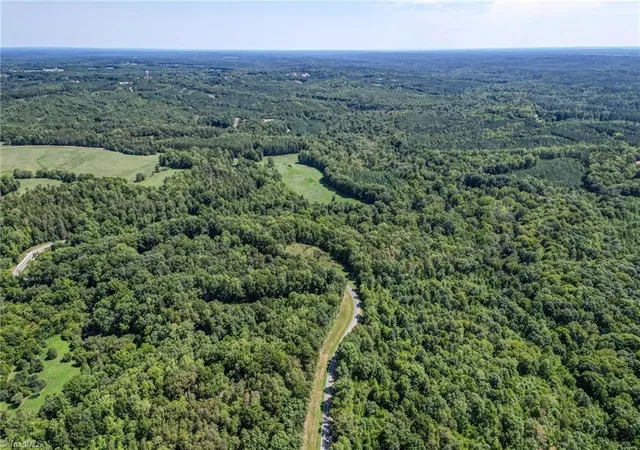 Photo 3 of Sale Pending at 00 Badgett Sisters Pkwy, Yanceyville, NC 27379 | MLS# 1231500 | Listing updated on 2026-08-31