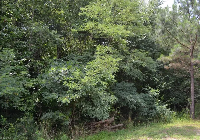 1st image of Lot 00 Ponderosa Rd, Stoneville, NC 27048 | MLS# 1223106