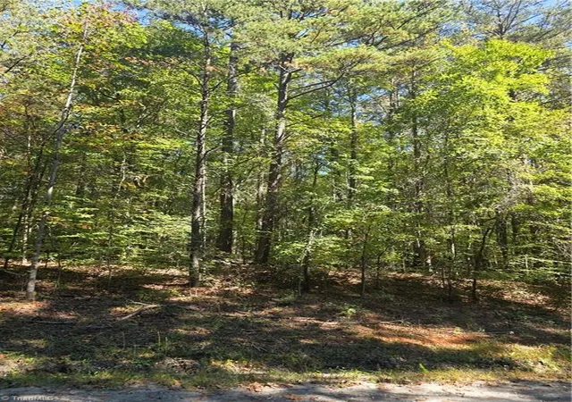 Photo 1 of Land for sale at 00 Power Dam Rd, Walnut Cove, NC 27052 | MLS# 1239233 | Listing updated on 2026-10-19