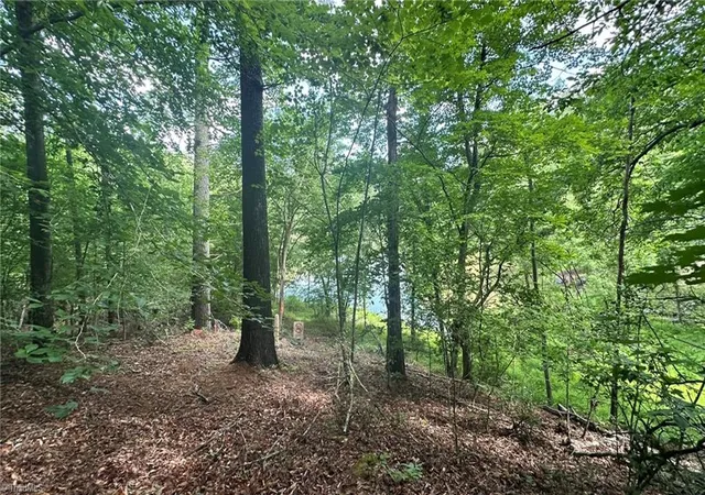 Homes for sale in Wilkesboro, NC | 00D High Point Cvs, Wilkesboro, NC 28697 | MLS# 1227334