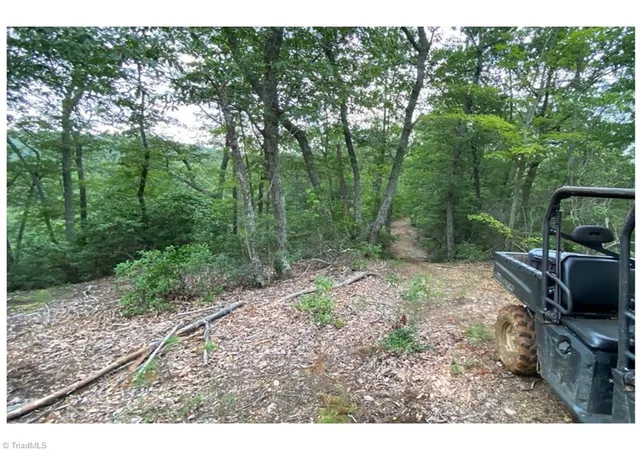Photo 3 of Land for sale at Tbd Barlowe Pl, Lenoir, NC 28645 | MLS# 1203459 | Listing updated on 2026-08-18